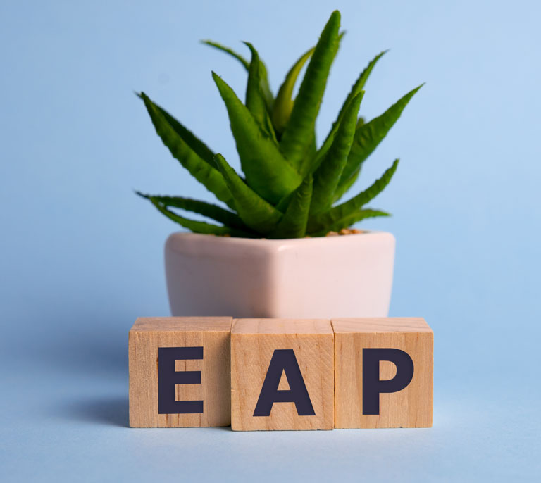 带有“EAP”字母的盆栽